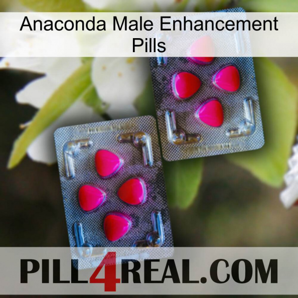 Anaconda Male Enhancement Pills 15.jpg